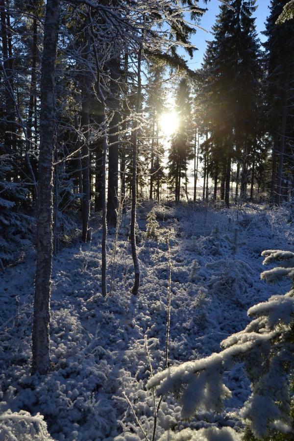 Kujanpaeae | Paajoen Vuokramoekit Otel Himos Dış mekan fotoğraf